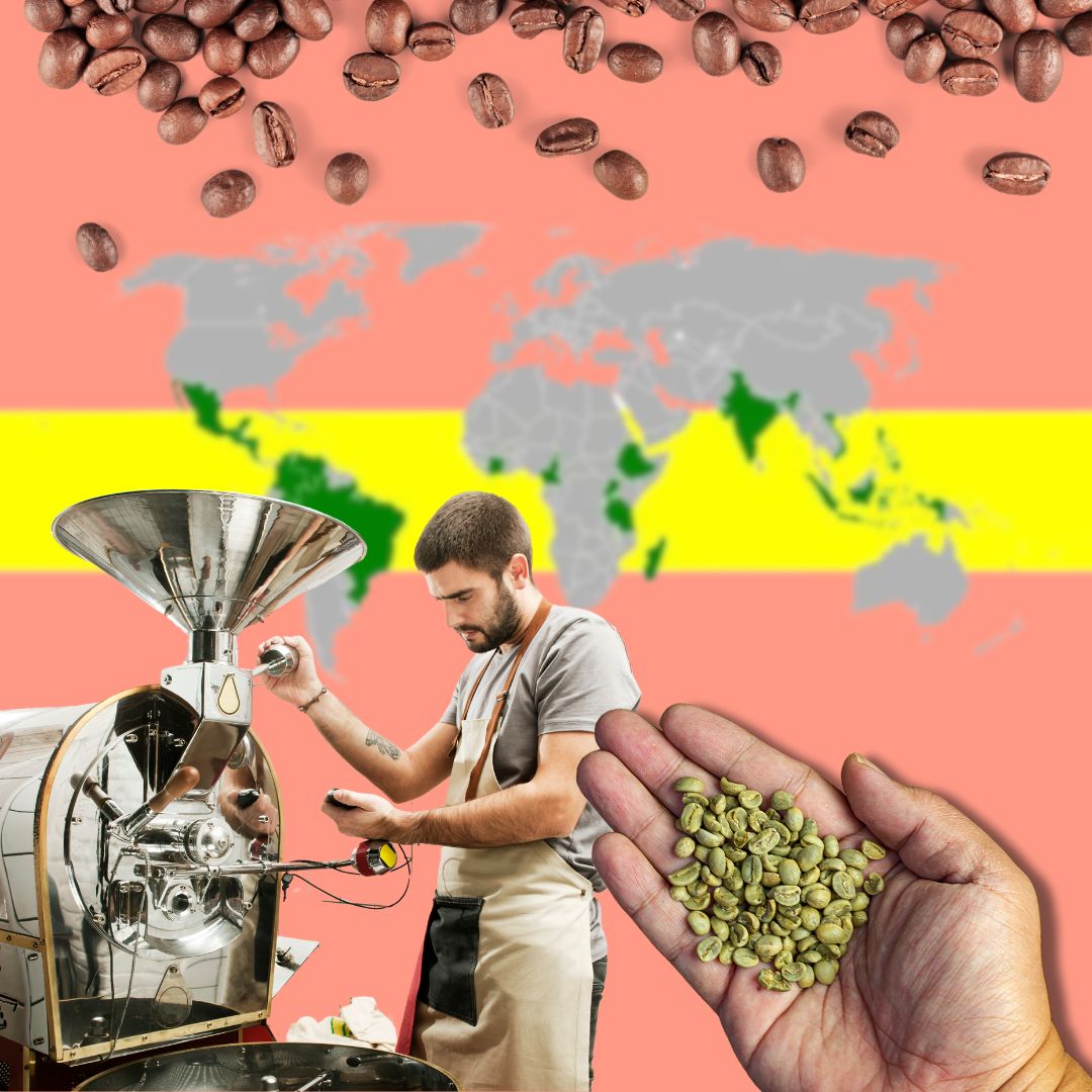 Explaining Arabica vs. Robusta Coffee Beans, Roasting Profiles and More